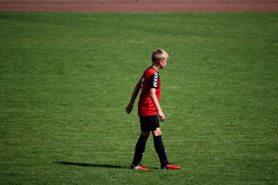 乐鱼娱乐app-世界青年滑板锦标赛中国少年夺奖，青少年滑板联赛