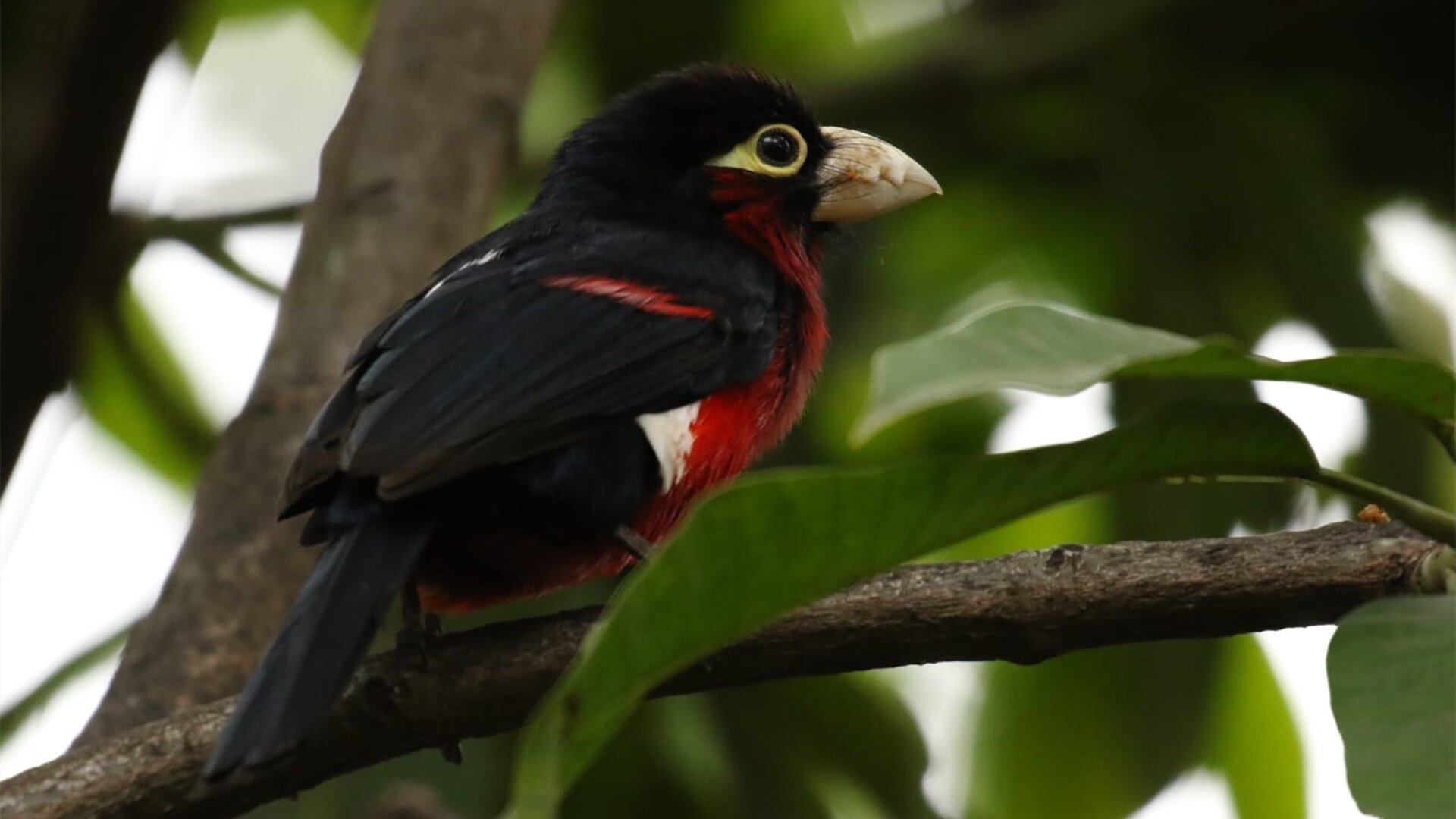 体育课教学任务管理系统优化设计建议，体育课程管理举措有哪些