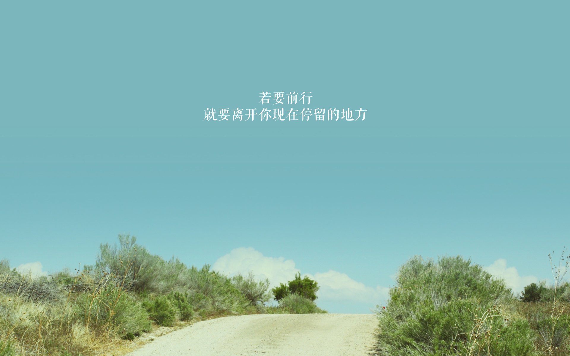 莱比锡红牛中场调度推动攻势升级,莱比锡红牛是哪个联赛的球队