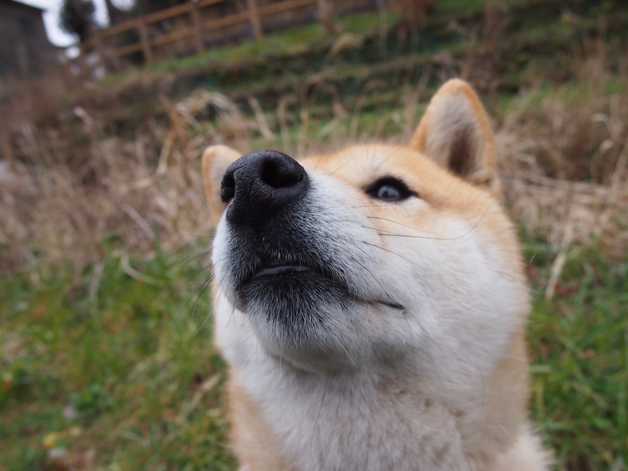 乐鱼电竞· (中国)官方网站-欧洲杯战术革新：变化多端，令人期待！，欧洲杯各个球队技战术打法