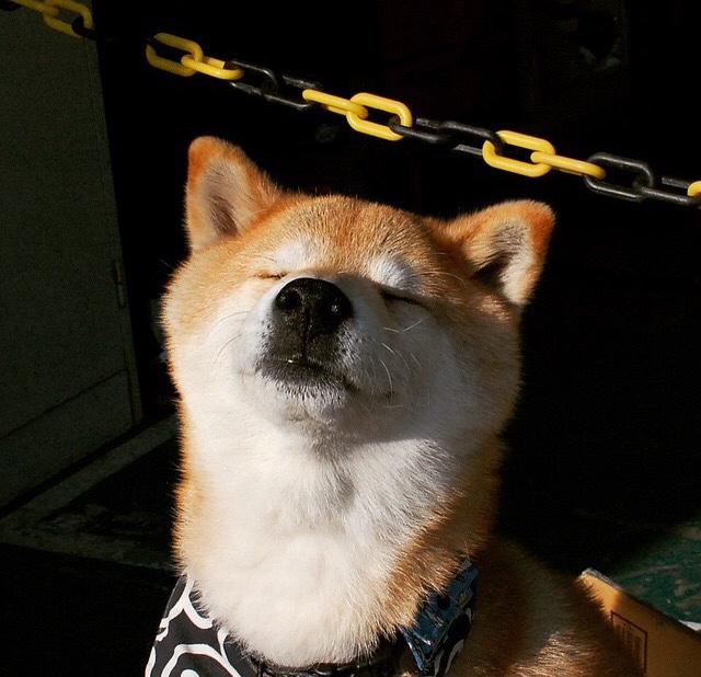 赛季收官阶段排位形势愈加复杂每场比赛皆为生死战,赛季完美收官