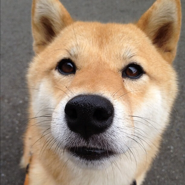 Lee 助攻频繁，带动球队前进，lee team