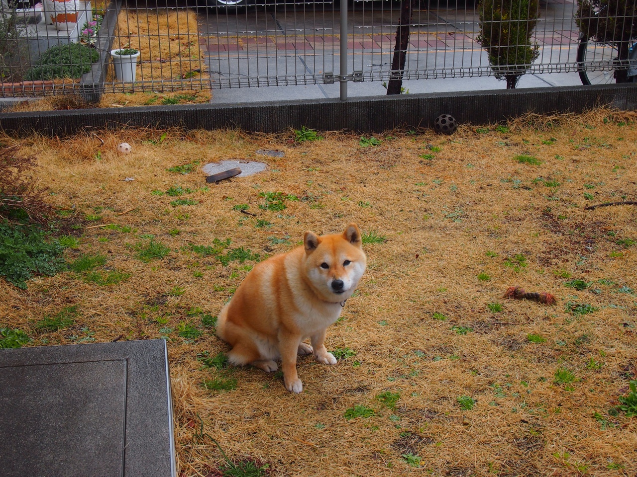 乐鱼电竞-“伊万·戈梅斯的多面手能力，成为阿根廷美洲狮队的重要进攻保障”