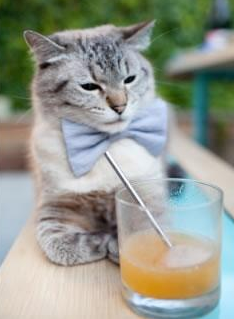 《冠军奥运篇》薛明成长故事引爆热搜，排球运动员薛明的身高是多少